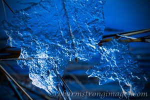 blueice01