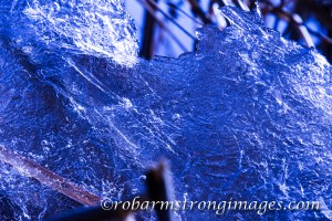 blueice02