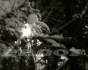 Snow01